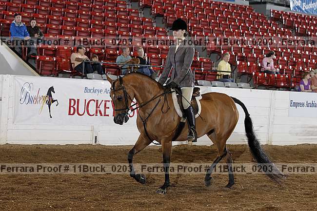 Proof 11buck_0203