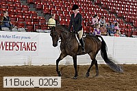 11buck_0205 proof