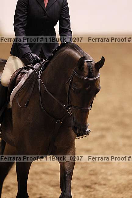 Proof 11buck_0207