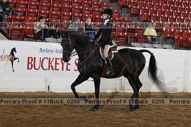 Proof 11buck_0208