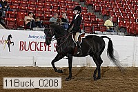 11buck_0208 proof
