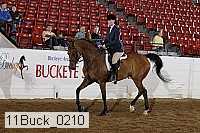 11buck_0210 proof