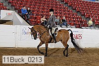 11buck_0213 proof