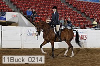 11buck_0214 proof