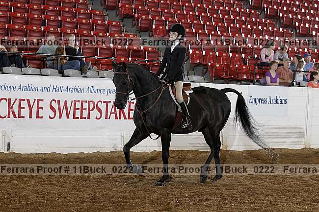 Proof 11buck_0222