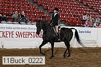11buck_0222 proof