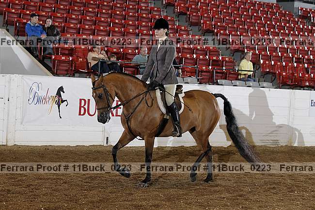 Proof 11buck_0223