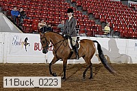 11buck_0223 proof