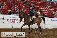 11buck_0227 proof