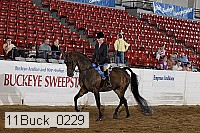 11buck_0229 proof
