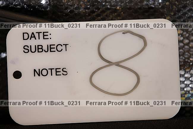 Proof 11buck_0231