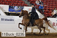 11buck_0235 proof