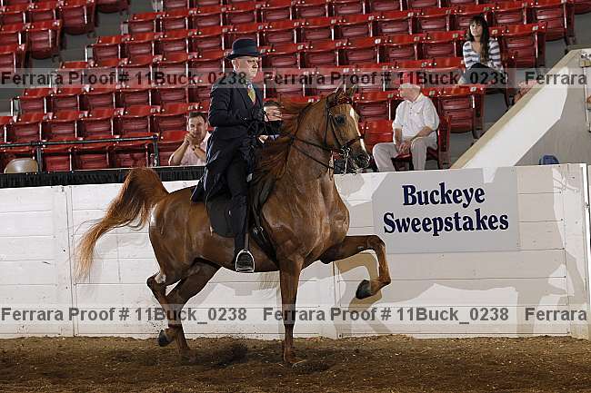 Proof 11buck_0238