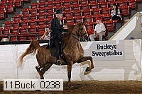 11buck_0238 proof
