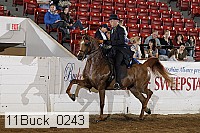11buck_0243 proof