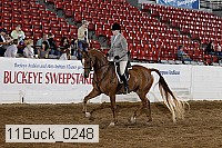 11buck_0248 proof