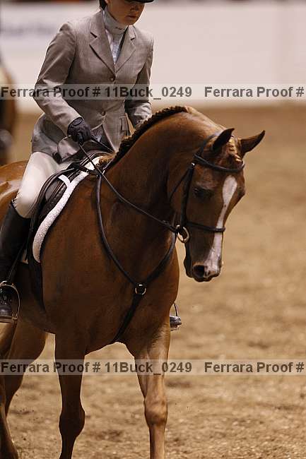 Proof 11buck_0249