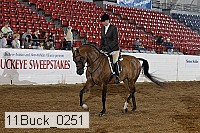 11buck_0251 proof