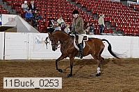 11buck_0253 proof