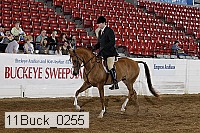 11buck_0255 proof