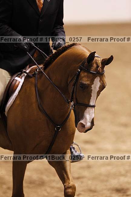 Proof 11buck_0257