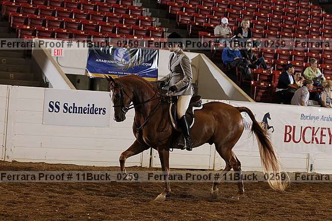 Proof 11buck_0259