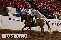 11buck_0259 proof