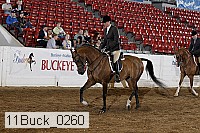 11buck_0260 proof