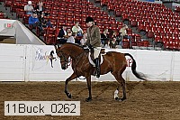 11buck_0262 proof