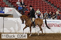11buck_0264 proof