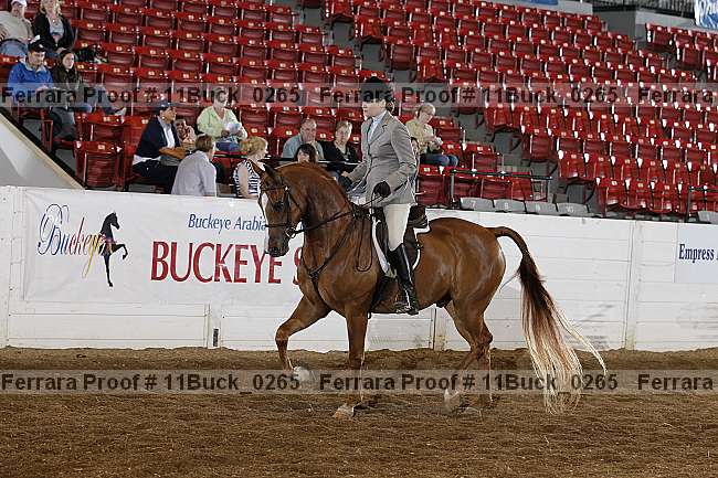 Proof 11buck_0265