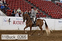11buck_0265 proof