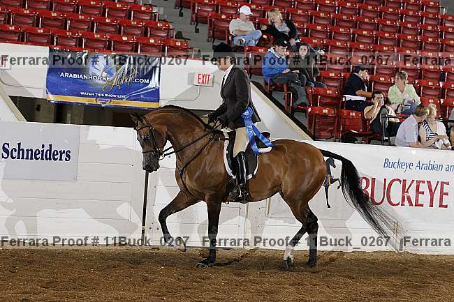 Proof 11buck_0267