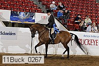 11buck_0267 proof