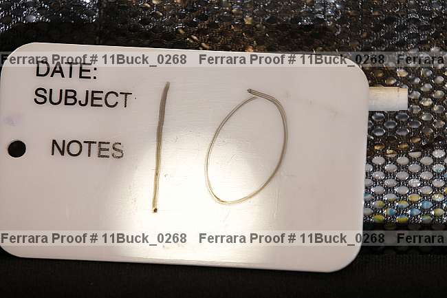 Proof 11buck_0268