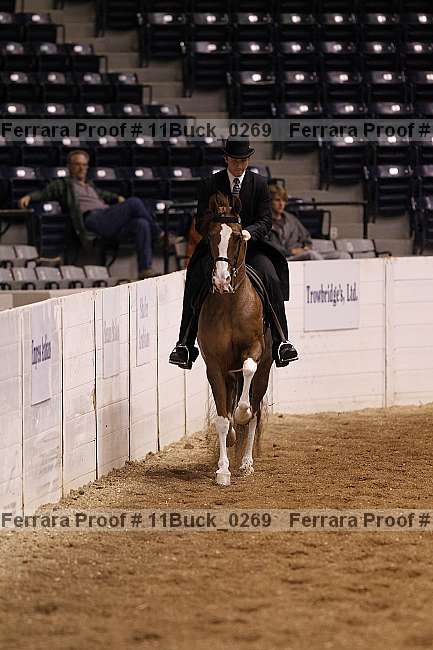 Proof 11buck_0269