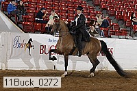 11buck_0272 proof