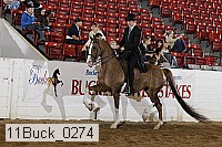 11buck_0274 proof