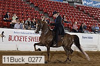 11buck_0277 proof