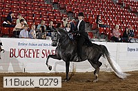 11buck_0279 proof