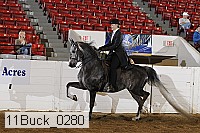 11buck_0280 proof