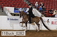 11buck_0282 proof