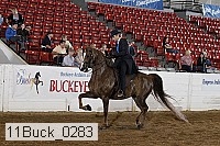 11buck_0283 proof