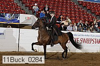 11buck_0284 proof