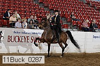 11buck_0287 proof