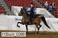 11buck_0288 proof