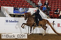 11buck_0291 proof