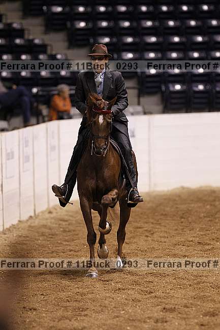 Proof 11buck_0293