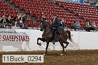 11buck_0294 proof
