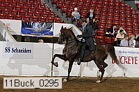11buck_0295 proof